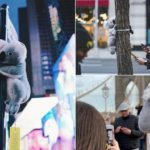 koalas-new-york