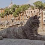 Rome’s cat sanctuary