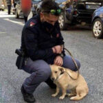 Italian policeman adopts puppy