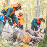 Logging Workers