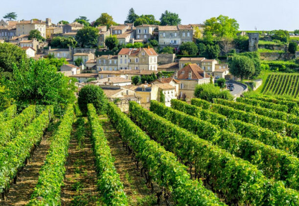 Top Best Wine Regions In Europe This Is Italy Page